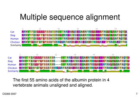 Sequence Alignment .